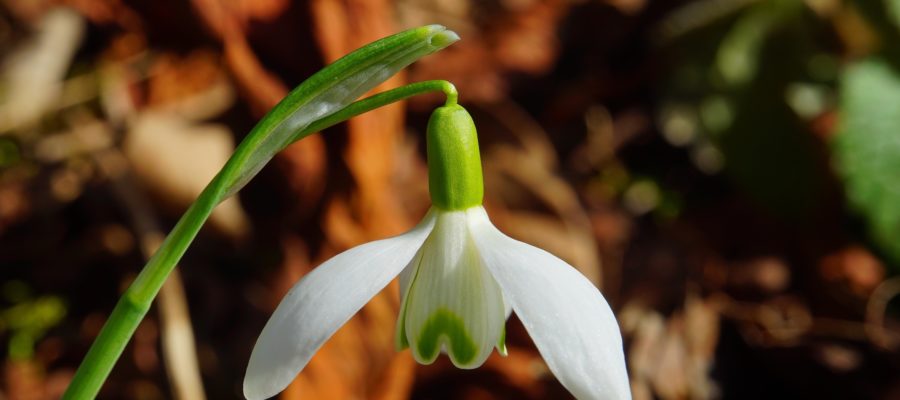 image of signs that your relationship end