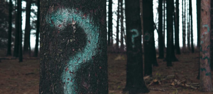 does he want sex or a relationship image