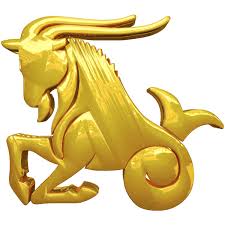 Capricorn Man Negative Traits image