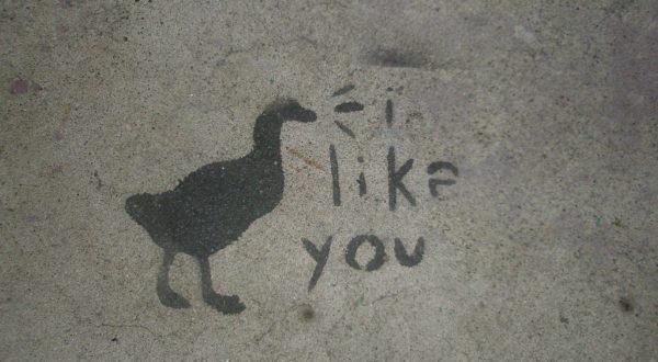 signs a sagittarius man likes you more than a friend image