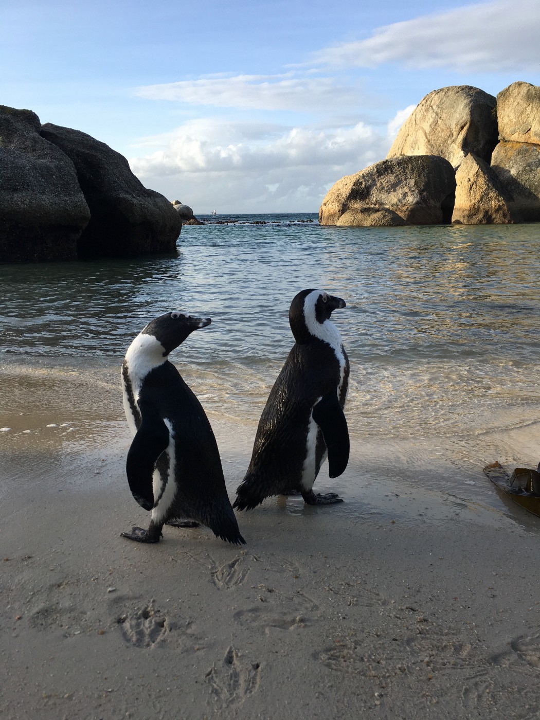 when a taurus man breaks up with you image