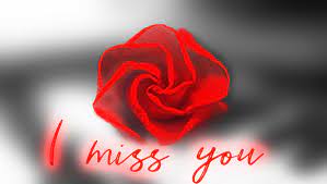 how to make libra man miss you image