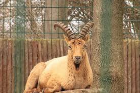 how to win a Capricorn man back image