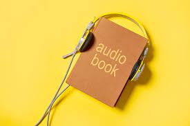 His Secret Obsession audiobook image