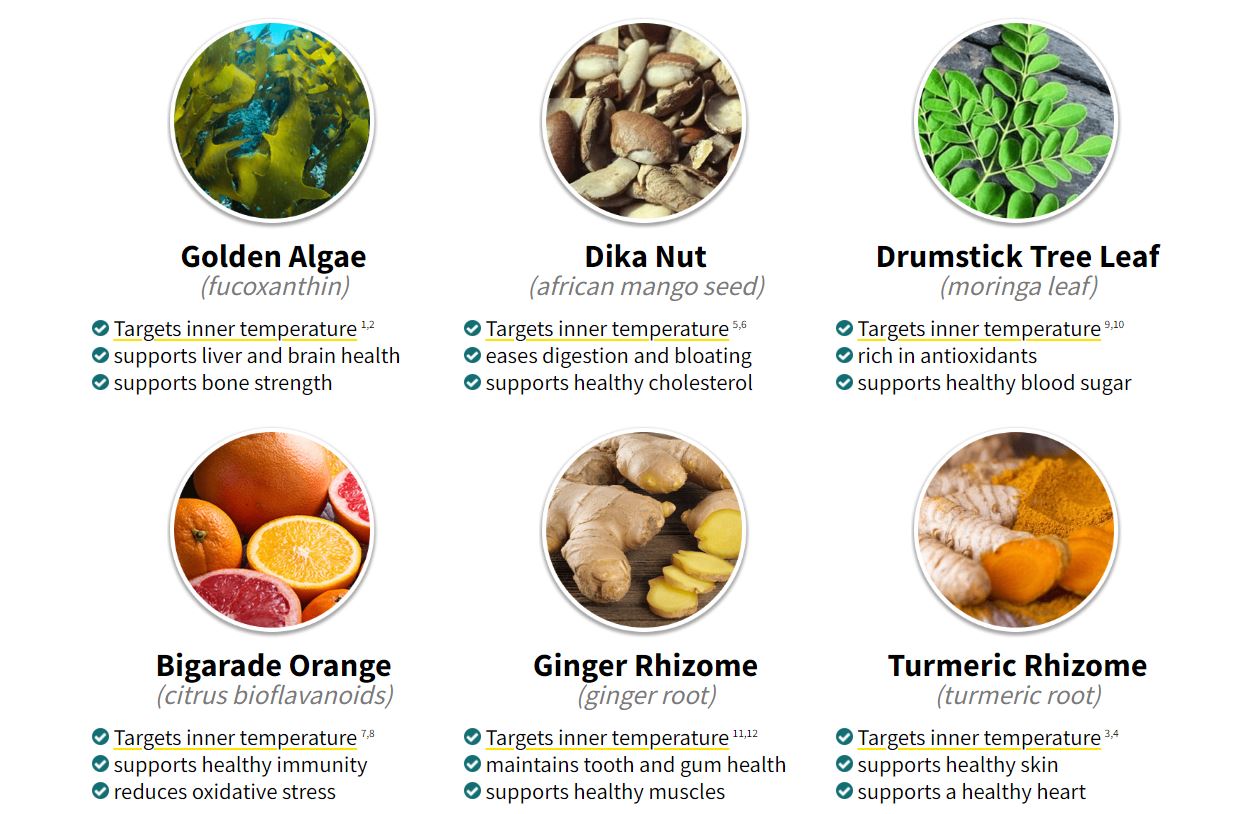 Where to buy Alpilean weight loss supplement image